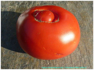 Marmande41f.jpg