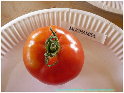 Muchamiel_2011_02.jpg