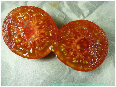 0Muchamiel_Sliced01.jpg