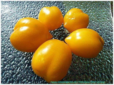 0Plum_Lemon57a.jpg