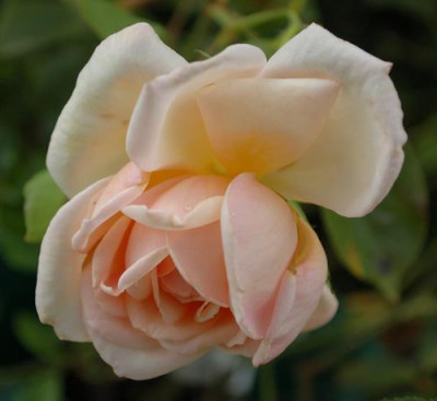 Summertime_0011__85867.jpg