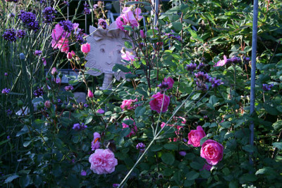 Gartenimpressionen5911.jpg