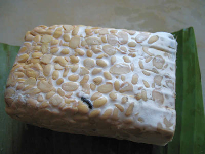 IMG_4074_Tempe_ausgepackt.jpg