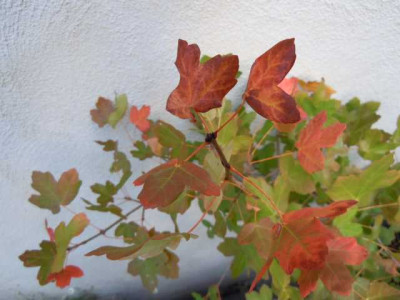 sept_2011_043.JPG