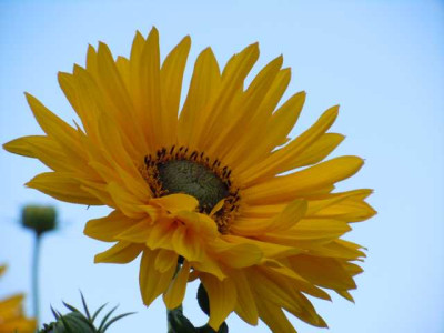 Sept_2011_013.JPG