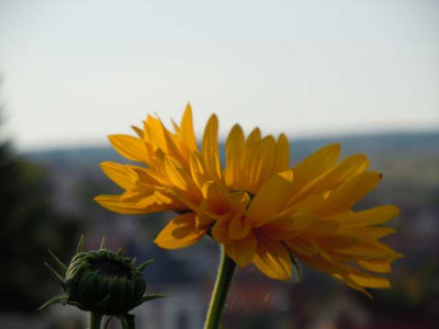 Sept_2011_011.JPG