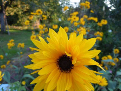 sept_2011_010.JPG