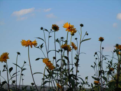 Sept_2011_009.JPG