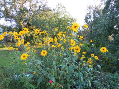 sept_2011_006.JPG