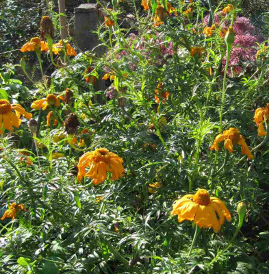 Riesentagetes_110924_Detail.jpg