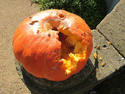 Nascherei_Sept_11_ue.jpg