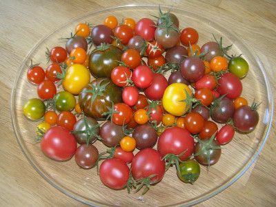 ernte290911.jpg