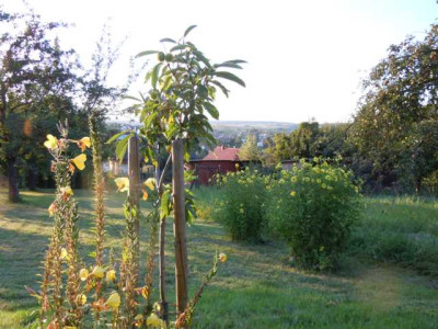 sept_2011_012.JPG