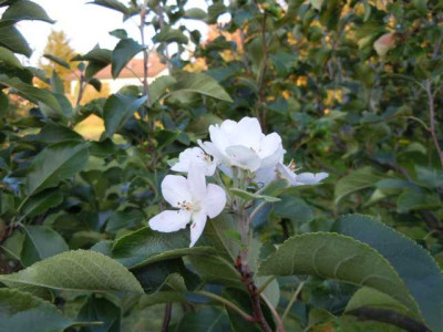 sept_2011_020.JPG