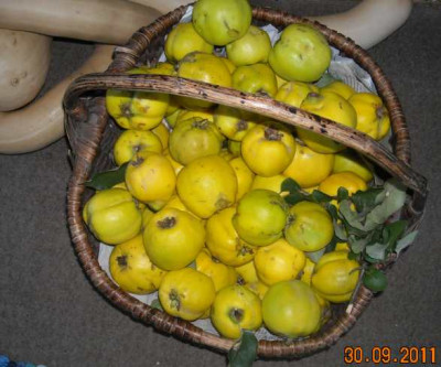 DSCN0278.jpg