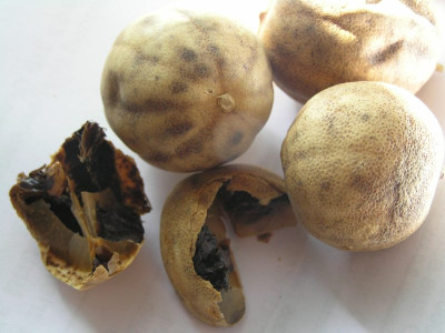 Frucht_unknown.jpg