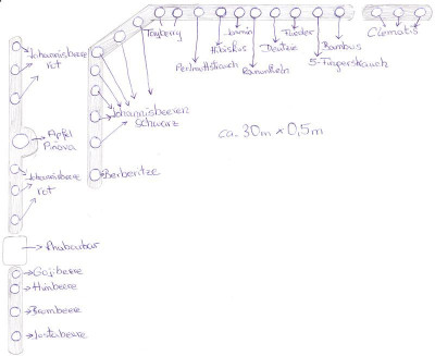 gartenplan2011.jpg