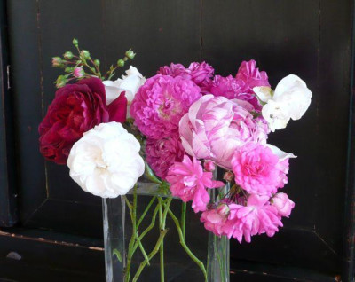 tg_111003.jpg