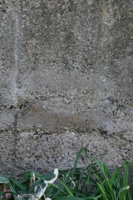 IMG_1574_beton.jpg