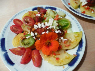 kuche_111005.jpg