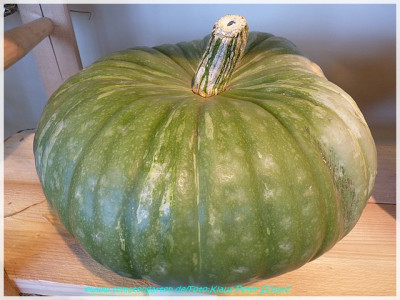 0Lime_Green_Suedafrika.jpg