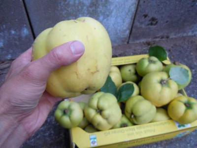 Okt_2011_005.JPG