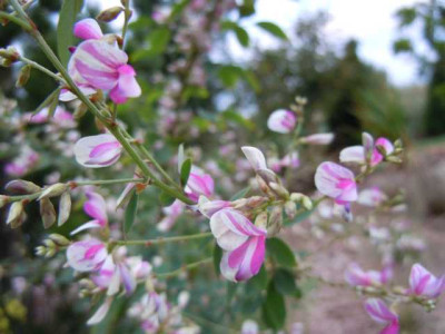 Okt_2011_007.JPG
