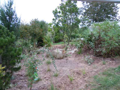 Okt_2011_006.JPG