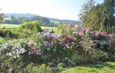 Ausblick_0011__0984.jpg