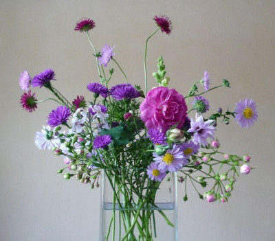 tg_111010.jpg