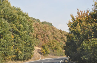 Braun_0011__1107.jpg