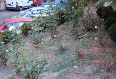 Aufgang_0011__7348.jpg