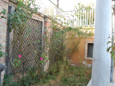 Bluete_0011__7345.jpg