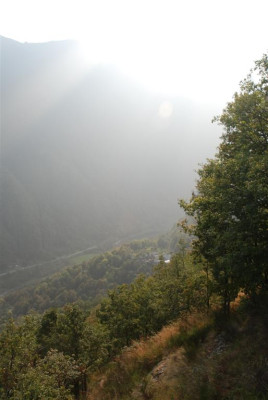B8626_Large.JPG