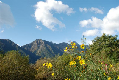 B8643_Small.JPG