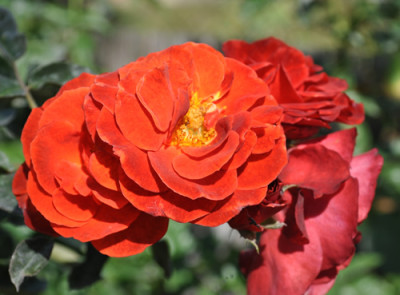 rot_0011__1074.jpg