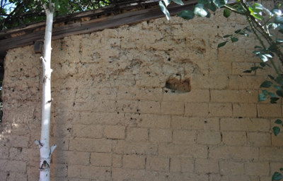 Wand_0011__1082.jpg