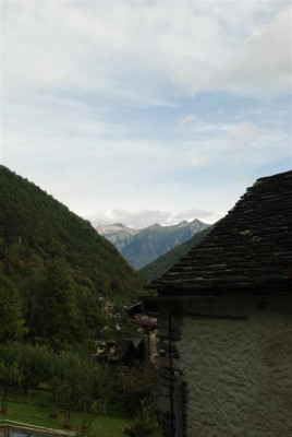 B8662_Large.JPG