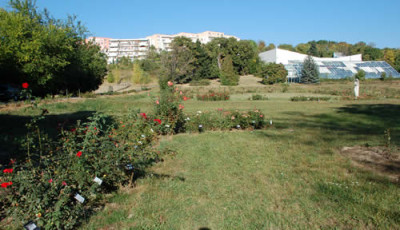 Buda_R_0011__6395.jpg