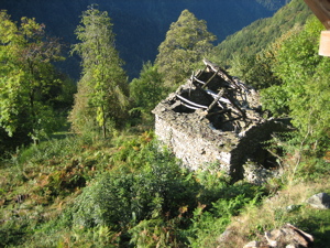 zerfallene_Hutte.jpg