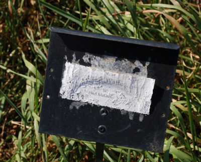 Schild_0011__7303.jpg