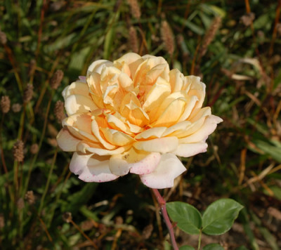 Promontor_0011__7167.jpg