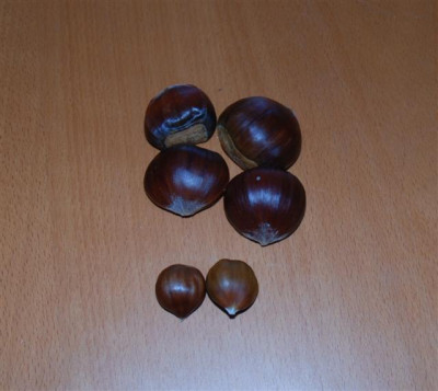 B8667a_Small.jpg