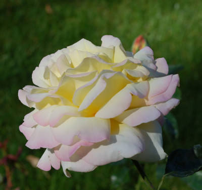 Bethlen_Kata_Emleke_0011__7584.jpg