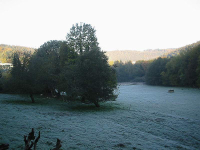 Rauhreif_14.10.11.jpg