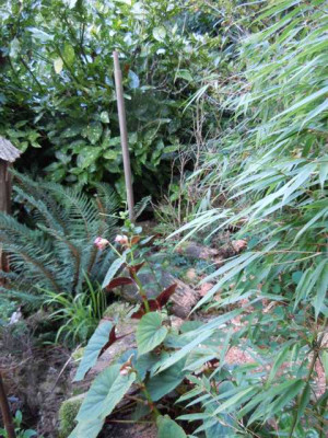 sept_2011_030.JPG