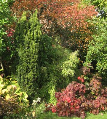 10_Herbstfarbe_72811.jpg
