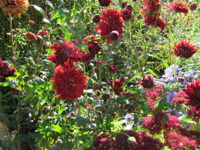 herbstlich_bunt_111015.jpg