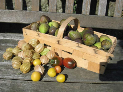 Ernte_20111016.jpg