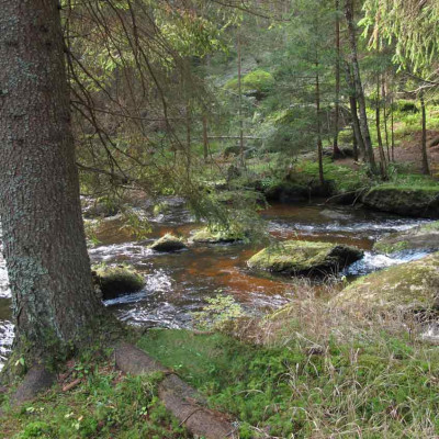 kamprunde3.jpg